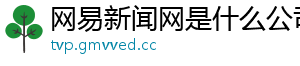 网易新闻网是什么公司